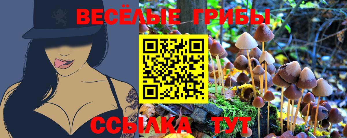 Галлюциногенные грибы Psilocybe  Псилоцибиновые грибы мухоморы  Ахтубинск  продажа наркотиков  Вход с VPN 